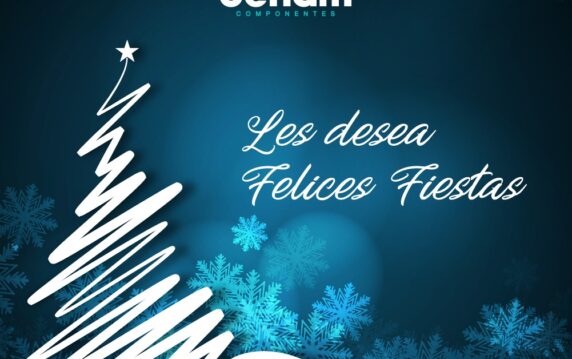 Ceham-christmas-2025